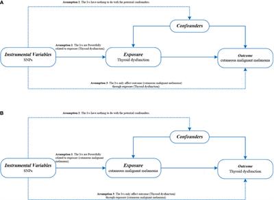 Thyroid dysfunction and risk of cutaneous malignant melanoma: a bidirectional two-sample Mendelian randomization study